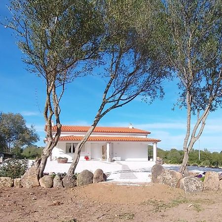 Casa Vacanze Olbia - Alebea - מראה חיצוני תמונה