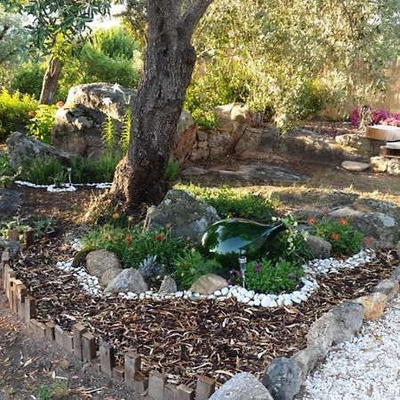 Casa Vacanze Olbia - Alebea - מראה חיצוני תמונה