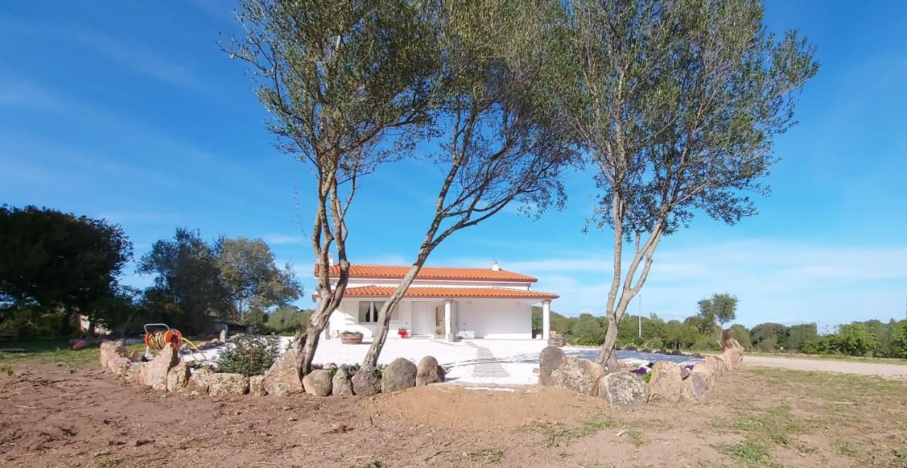 Casa Vacanze Olbia - Alebea - מראה חיצוני תמונה