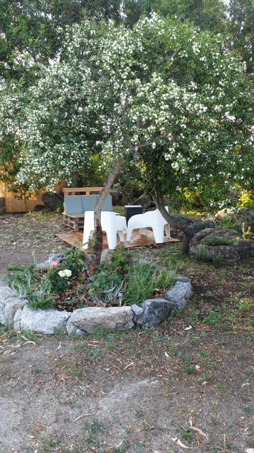Casa Vacanze Olbia - Alebea - מראה חיצוני תמונה
