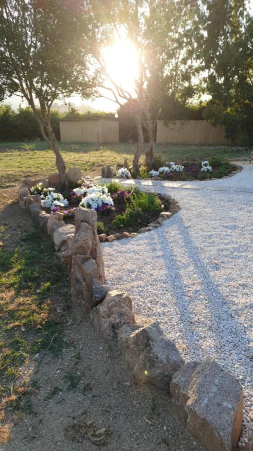 Casa Vacanze Olbia - Alebea - מראה חיצוני תמונה