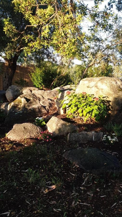 Casa Vacanze Olbia - Alebea - מראה חיצוני תמונה