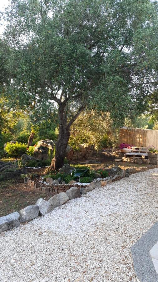 Casa Vacanze Olbia - Alebea - מראה חיצוני תמונה