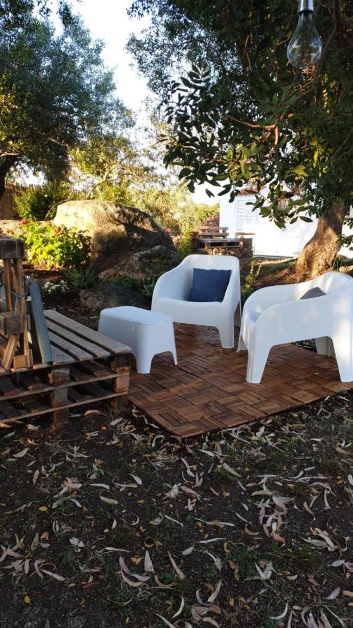 Casa Vacanze Olbia - Alebea - מראה חיצוני תמונה