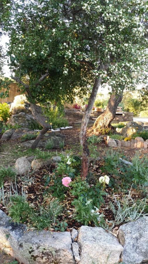 Casa Vacanze Olbia - Alebea - מראה חיצוני תמונה